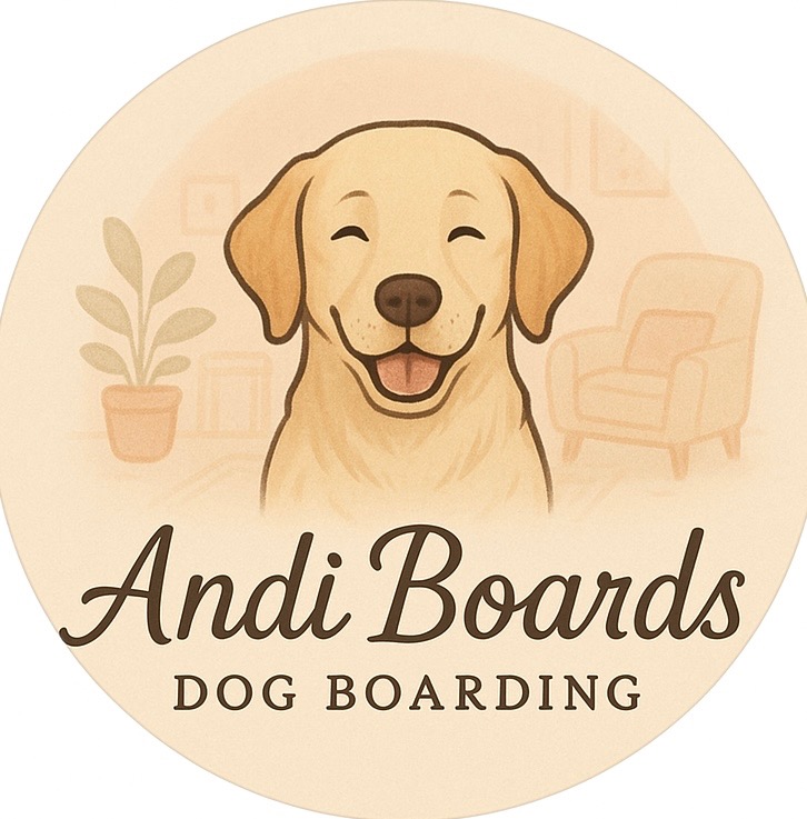 Andi Boards Logo